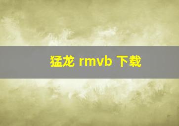 猛龙 rmvb 下载